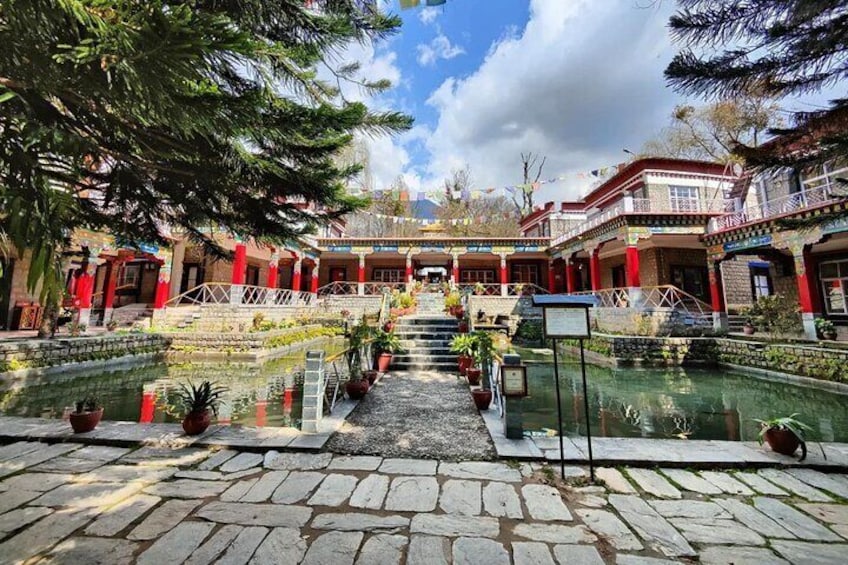 Guided Buddhist Culture Tour at Dharamshala