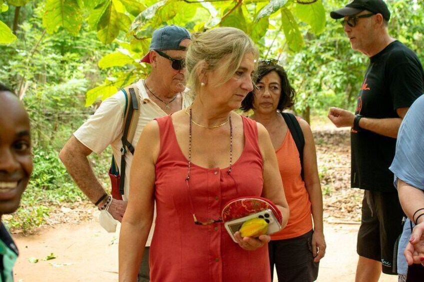 Spice Tour + Stone Town Tour + Prison Island