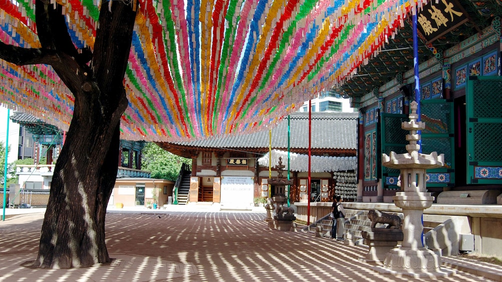 colorful tree in seoul