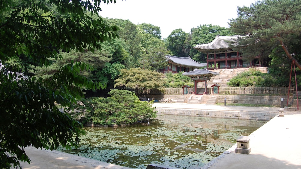 pond in seoul