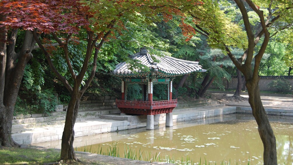 Palace garden in Seoul