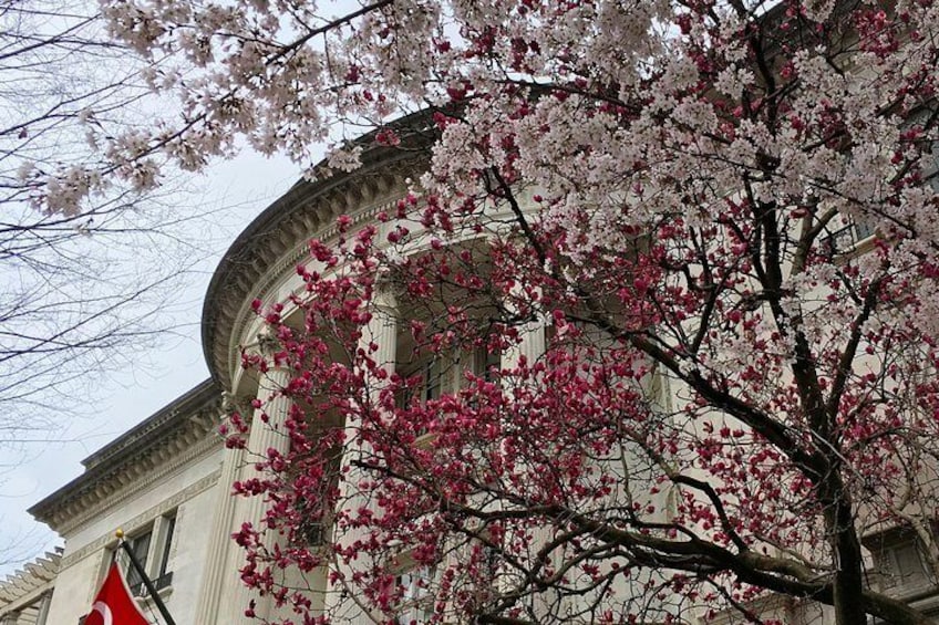 Dupont Circle and Embassy Row Architecture Tour