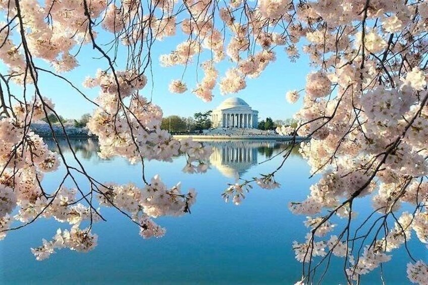 Jefferson Memorial