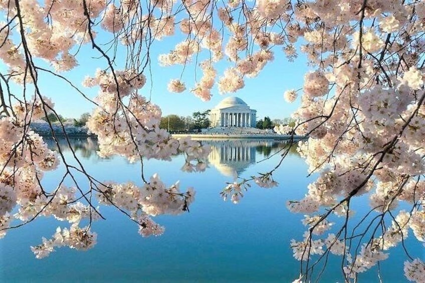 Jefferson Memorial