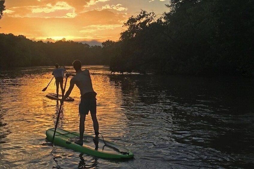 4-Mile Guided Paddleboard Tour on The French Broad River in Asheville