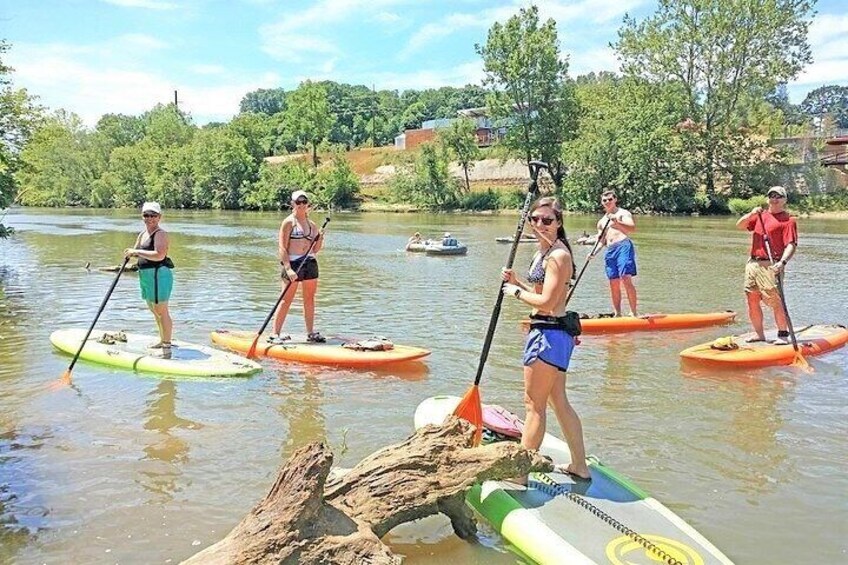 4-Mile Guided Paddleboard Tour on The French Broad River in Asheville