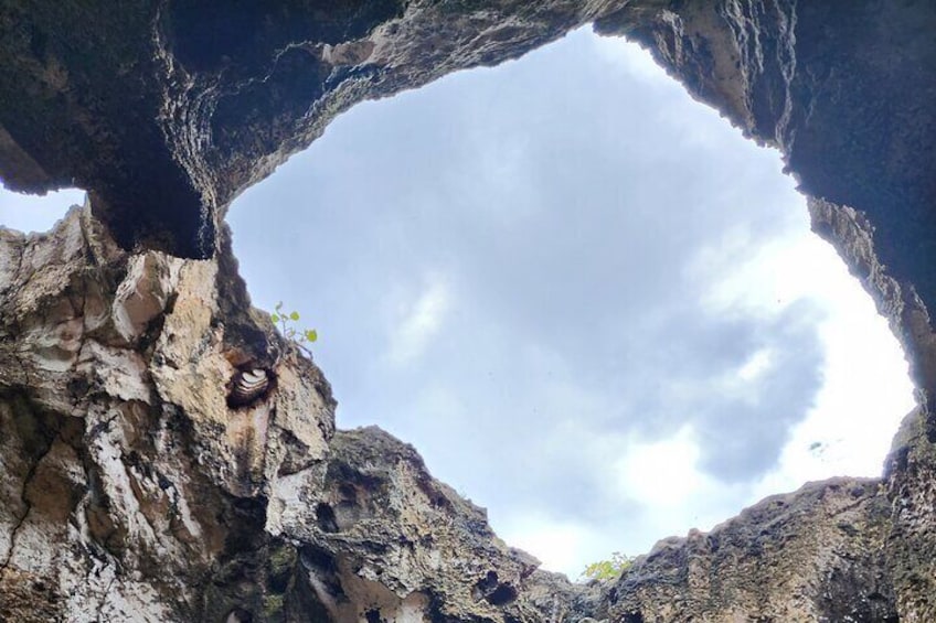 Sea Cave Adventure from San Juan