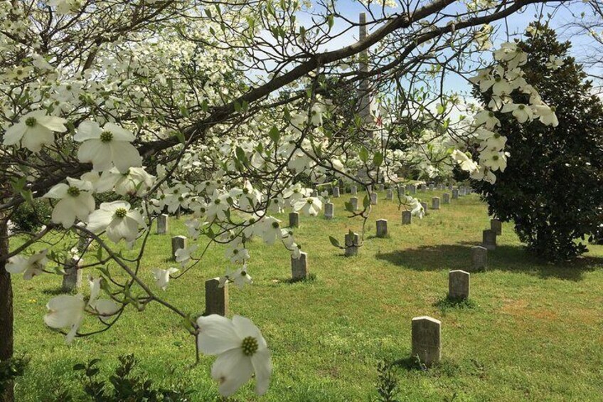 Civil War graves