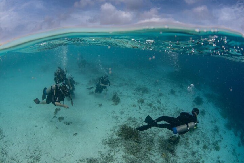 when you are ready and comfortable, we go over to the reef and discover the reef and fishes.