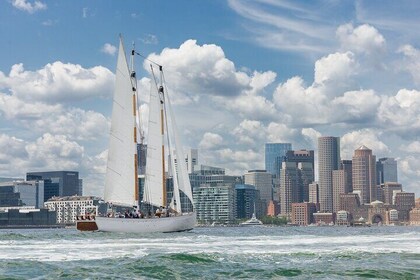 Día de turismo navegar alrededor del puerto de Boston