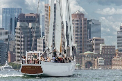 Día de turismo navegar alrededor del puerto de Boston