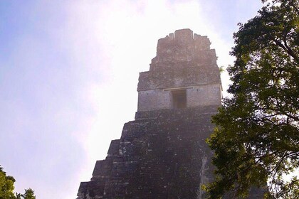 11-Day Mayan Ruins Tour: Guatemala and Copán