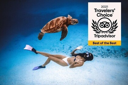 Cook Islands Turtle Tour