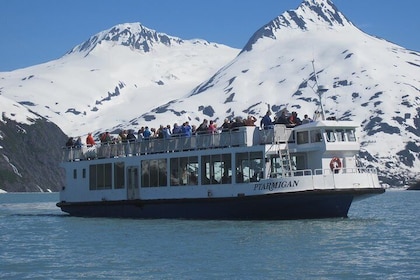 Portage Glacier Cruise and Wildlife Explorer Tour