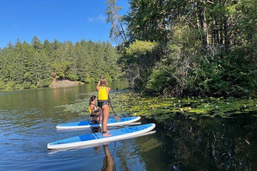 Paddling Thetis Lake