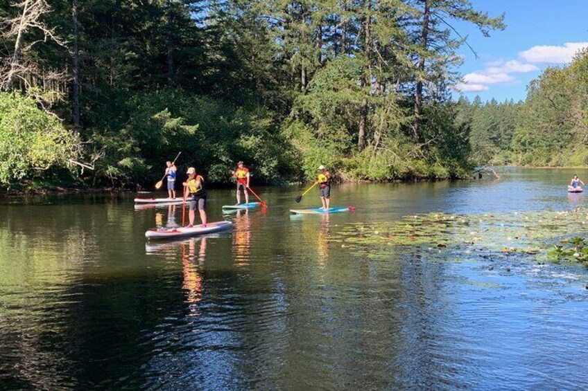 Paddling Thetis Lake