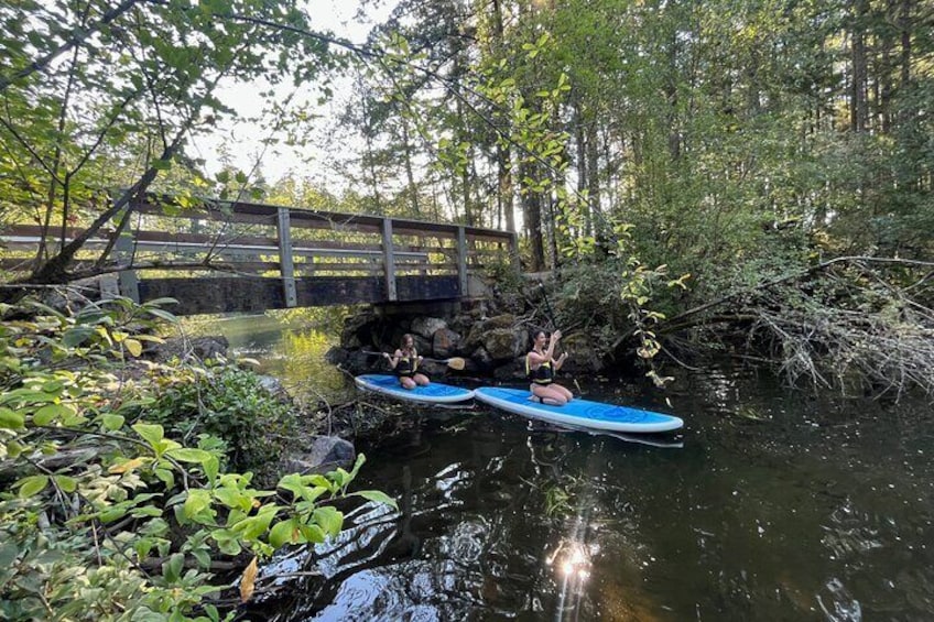 paddling under the bridge Thetis Lake Victoria BC