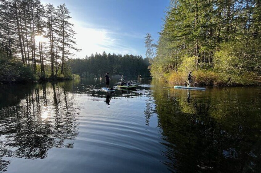 Paddling Thetis Lake