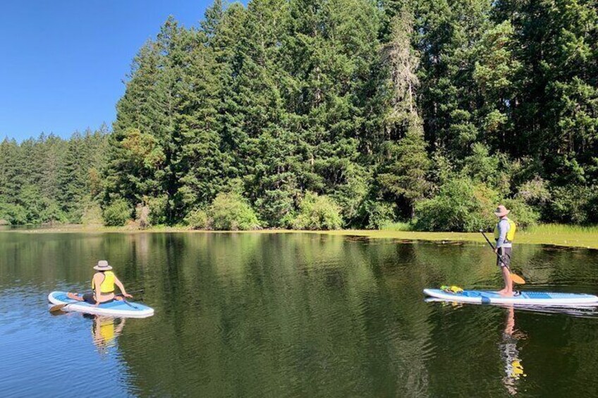 Paddling Thetis Lake