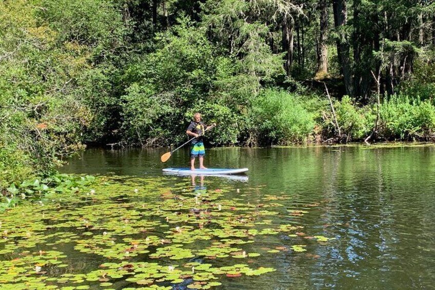 Paddling Thetis Lake