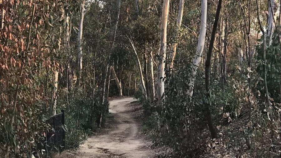 Fullerton Loop eMTB Experience -