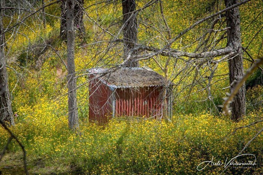 Skipper's Canyon photo tour