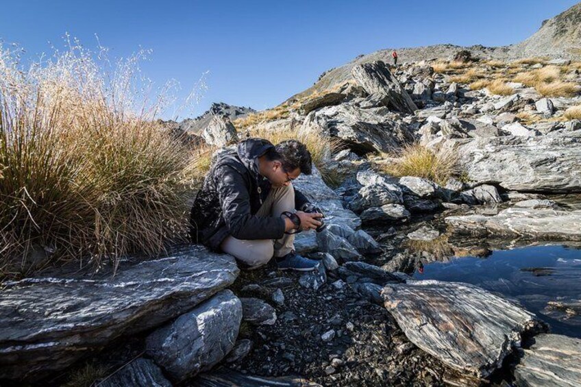 Remarkables Tour in Queenstown