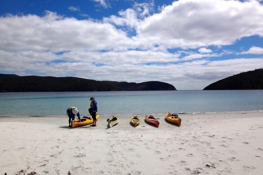 Tasman Peninsula full day kayaking tour