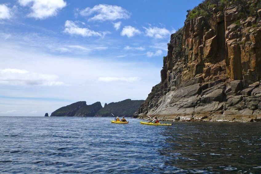 Tasman Peninsula full day kayaking tour