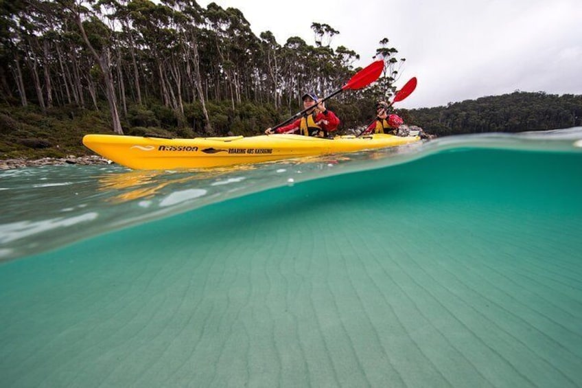 Tasman Peninsula full day kayaking tour