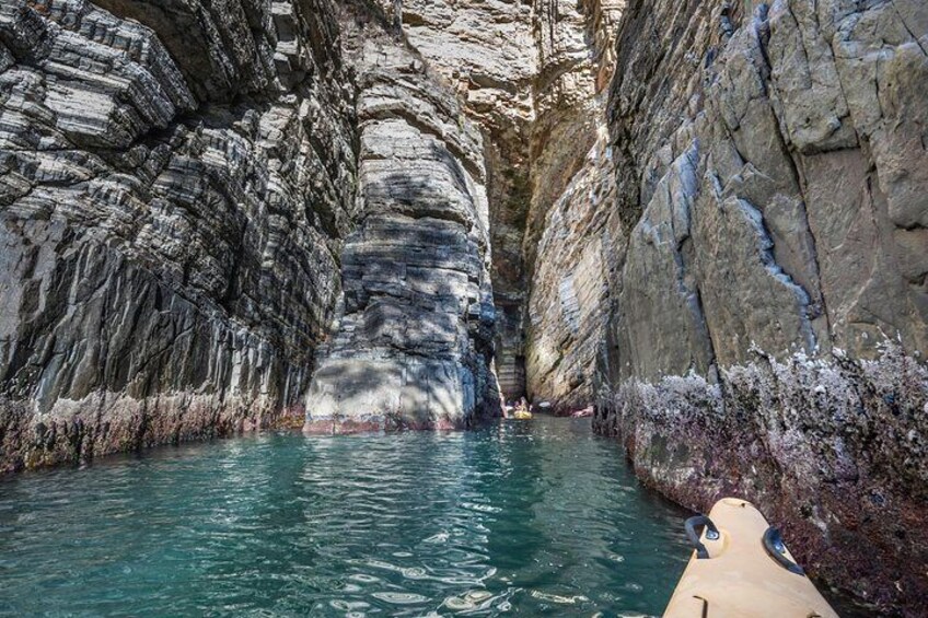 Kayaking into caves along Hobart's Coastline