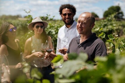 Elderton Elite Tasting Experience