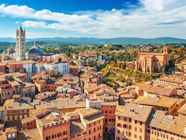 Toscana in 1 giorno: Pisa, San Gimignano, Siena con Pranzo in Piazza del Ca...