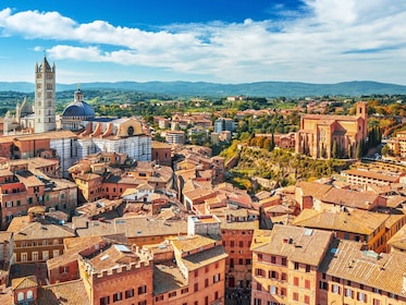 Toskana an einem Tag ab Florenz: Pisa, San Gimignano und Siena mit Mittages...