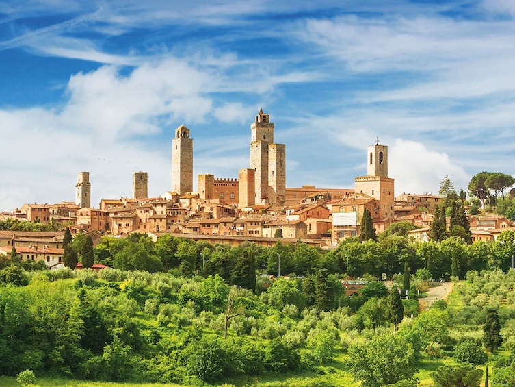 Show item 4 of 10. Tuscany in 1 day: Pisa, San Gimignano and Siena with Lunch