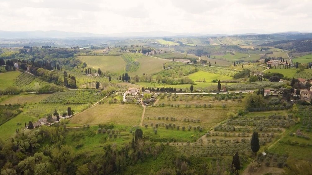 Tuscany in 1 day from Florence: Pisa, San Gimignano & Siena with Lunch
