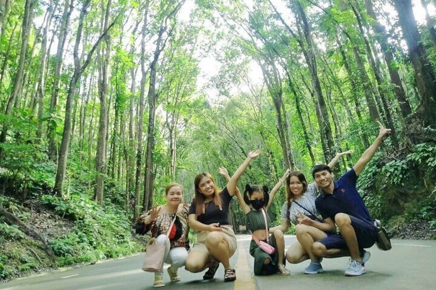 Manmade Forest! A 2 kilometer stretch of hand fully planted Mahogany Trees!