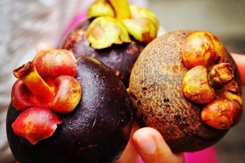 Taste some of the exotic fruits