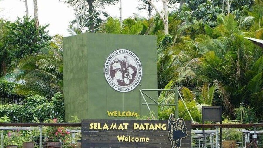 Bukit Merah Orang Utan Island Foundation