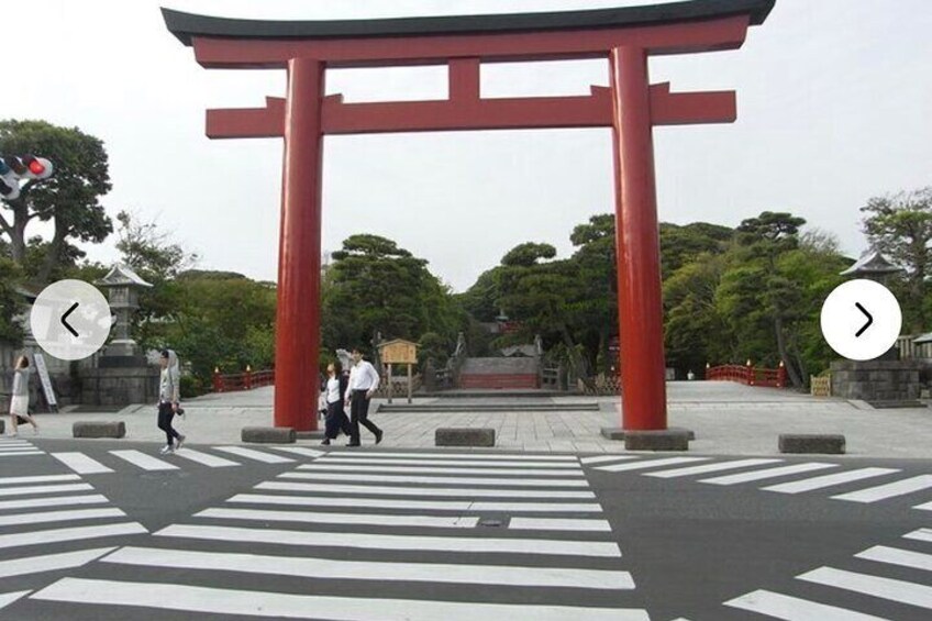 TOKYO,ASHIKAGA FLOWER PARK, KamaKura, Hitachi SEASIDE TOUR by Car