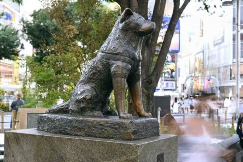 TOKYO DAY TOUR by Charted Car 1-7 persons per group