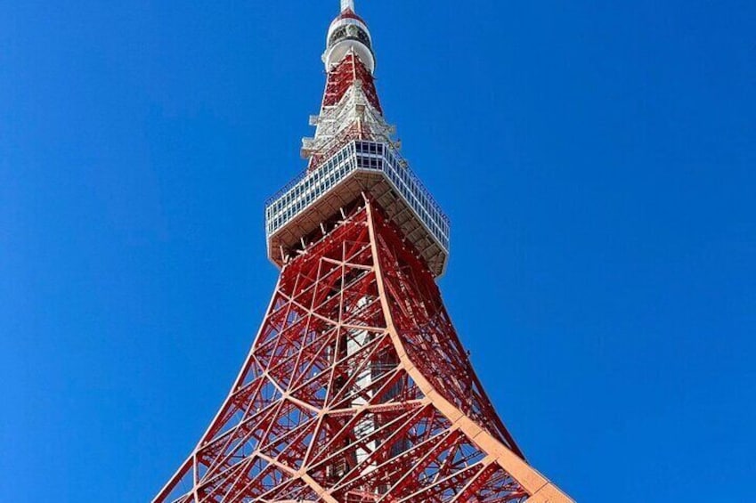 TOKYO cherry blossoms 1 DAY TOUR by Private Car 1 to 7 person