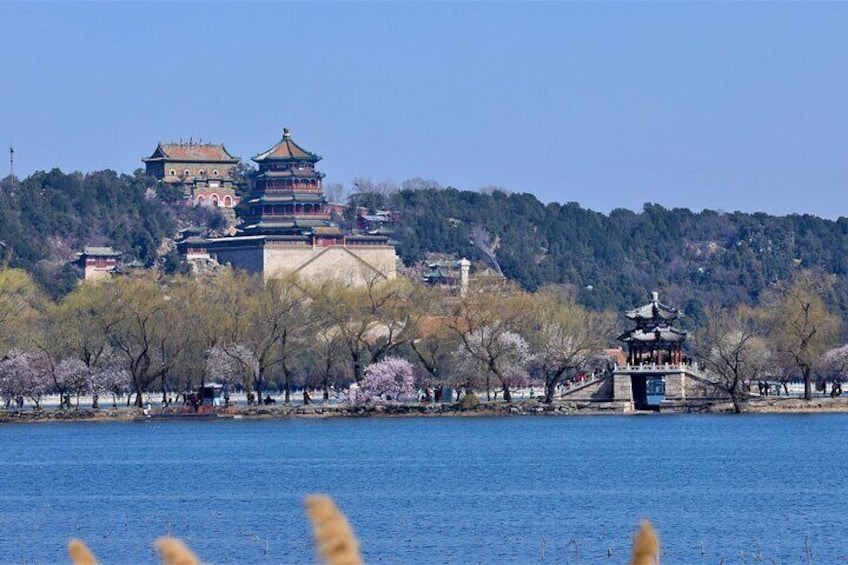 Tian'anmen Square & Forbidden City Private Walking Tour W/Options