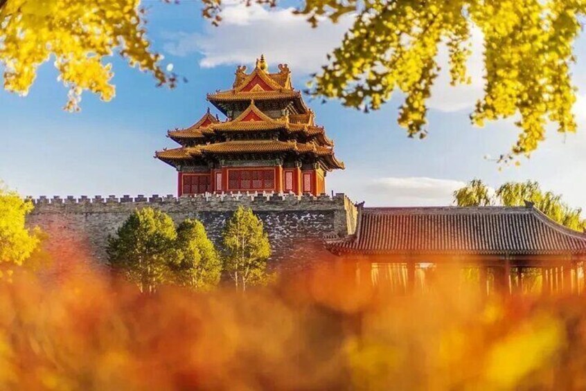 Private 4-Hour In Depth Walking Tour to the Forbidden City