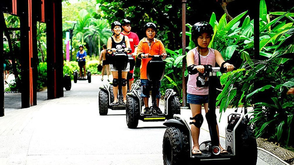 Charger l’élément 3 sur 5. group on segways on tropical path in singapore