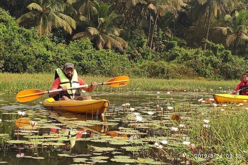 Lotus ponds