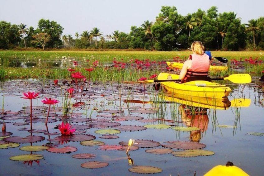  In the lotus ponds of our gods and Ancestors!
