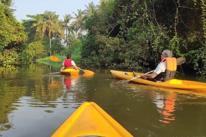 Near the mango grove.