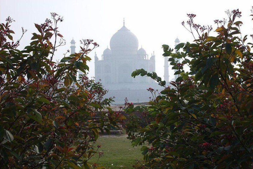 Private Taj Mahal Day and Agra Tour