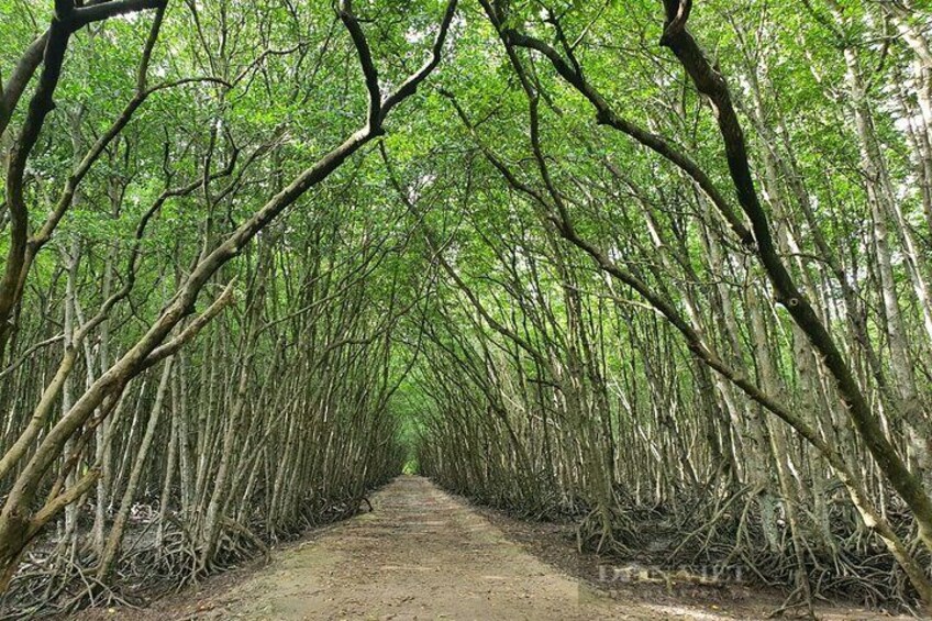 Can Gio Mangrove Forest 1 day tour
